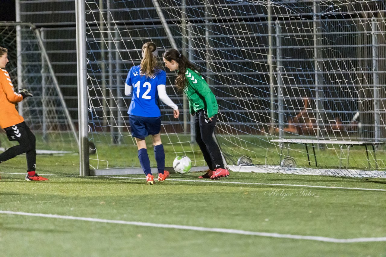 Bild 209 - F SC Ellerau - Rissener SV : Ergebnis: 7:0